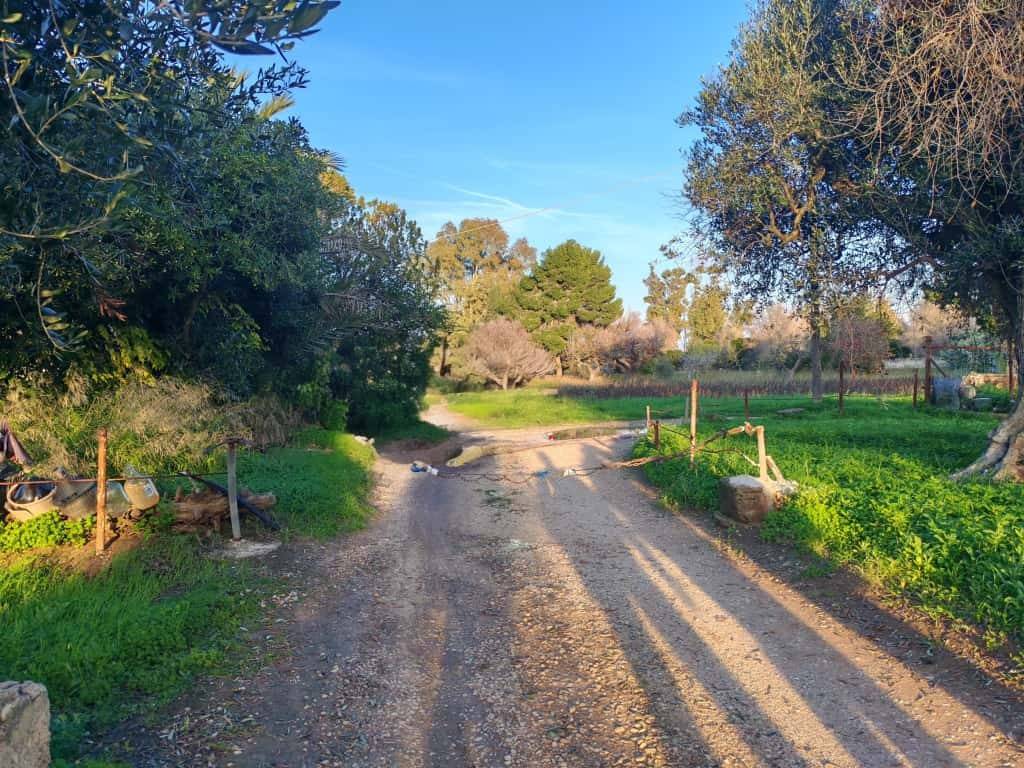 Terreno a Brindisi in SS16 - Foto 4