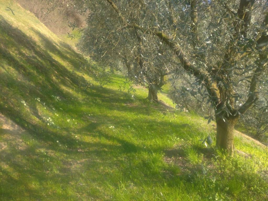 Terreno a Sulzano in via Ruchena Sulzano , - Foto 2