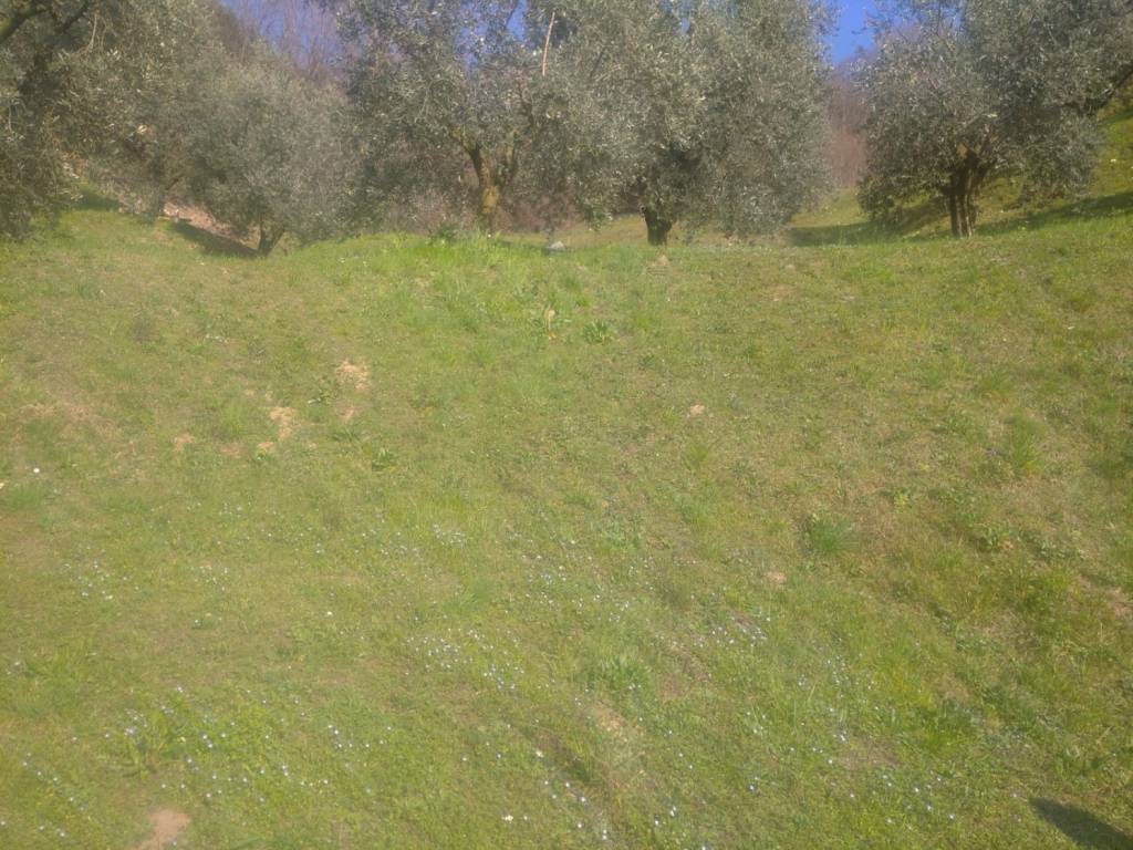 Terreno a Sulzano in via Ruchena Sulzano , - Foto 3