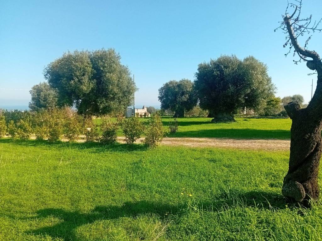 Villa a Polignano a mare in CONTRADA MARCO DI MOLA - Foto 2