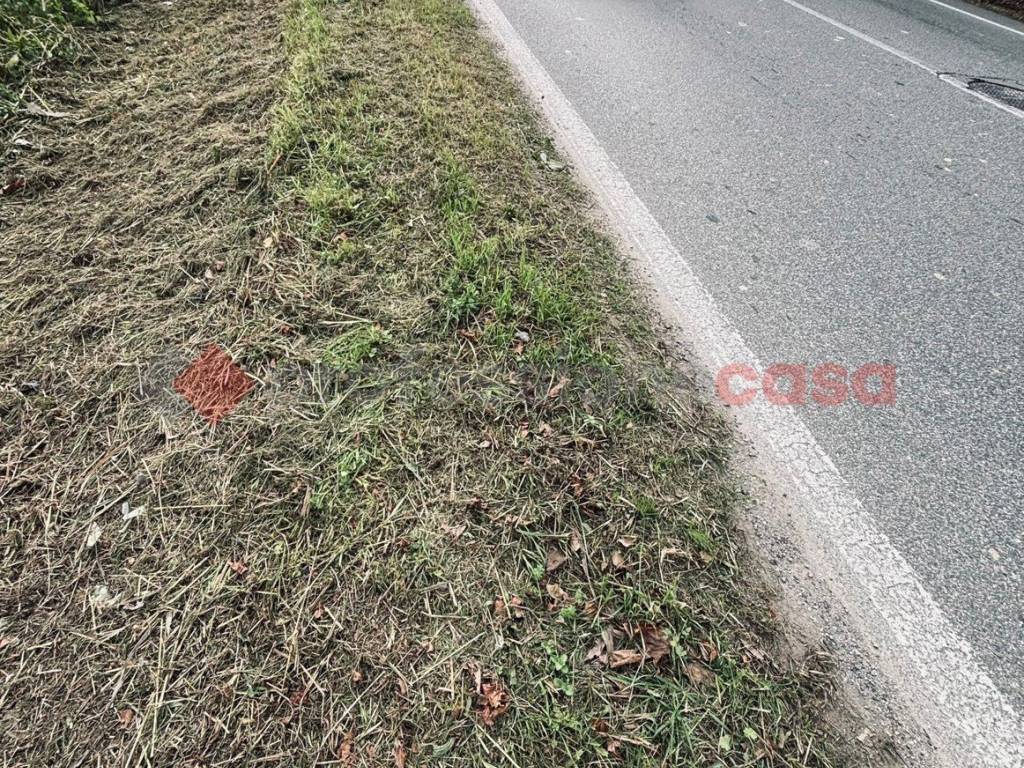 Terreno a Pistoia - Foto 2