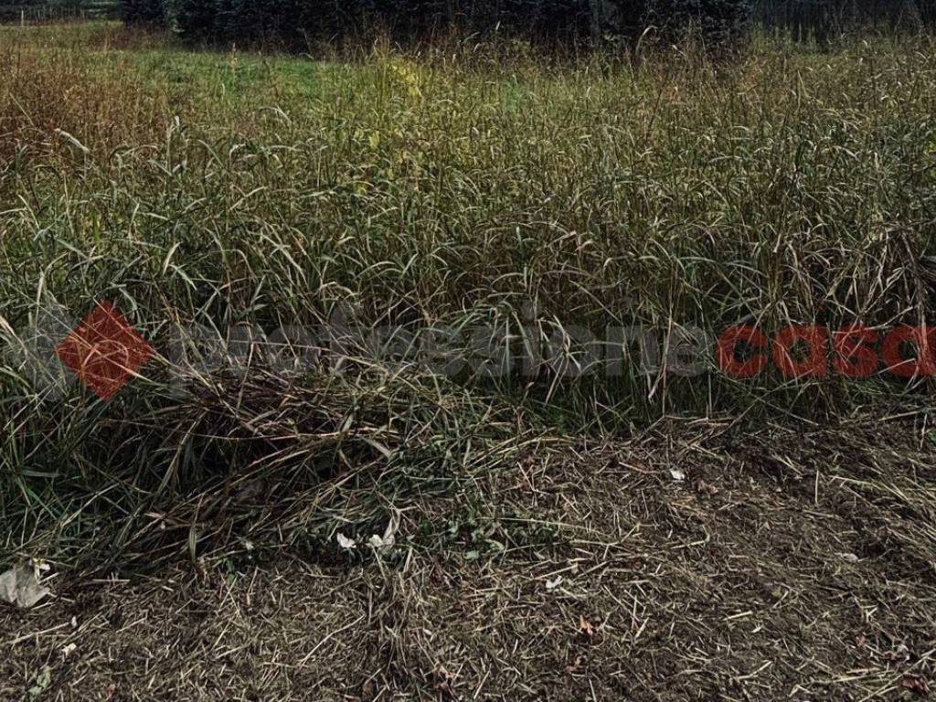 Terreno a Pistoia - Foto 3