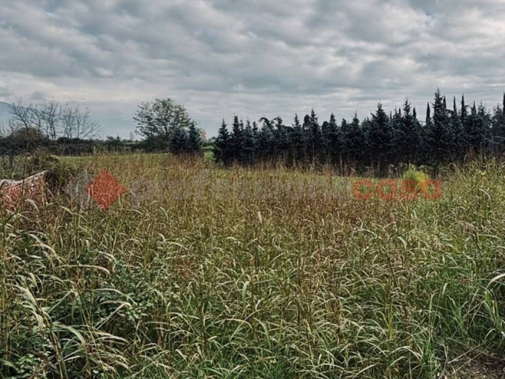 Terreno a Pistoia - Foto 4