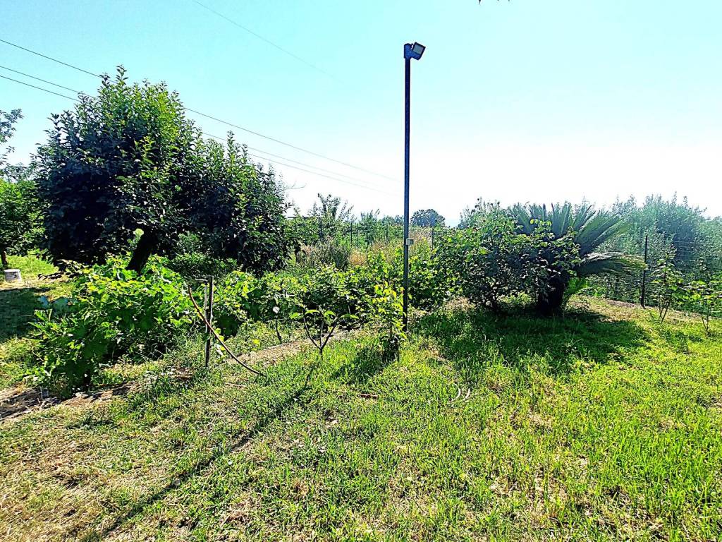 Immobile a Giarre in Via Salvo D'Acquisto - Foto 4