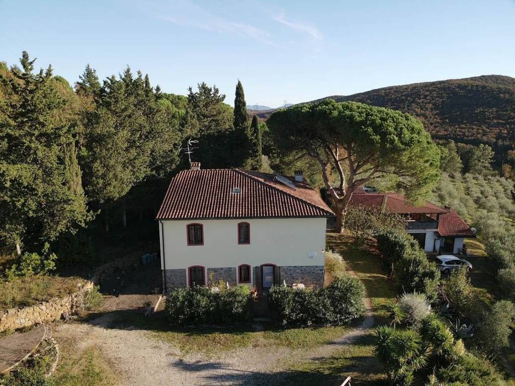Rustico / casale a Suvereto - Foto 2