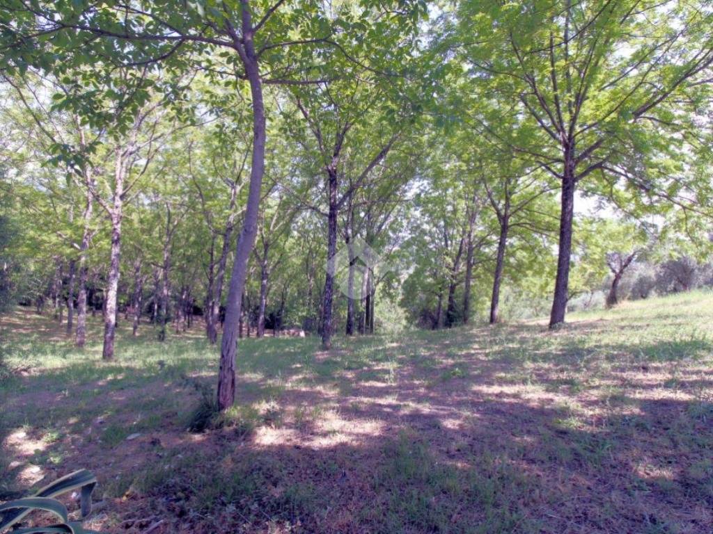 Villa a Poggio mirteto in Via Ottorino Caproni, 11 - Foto 4