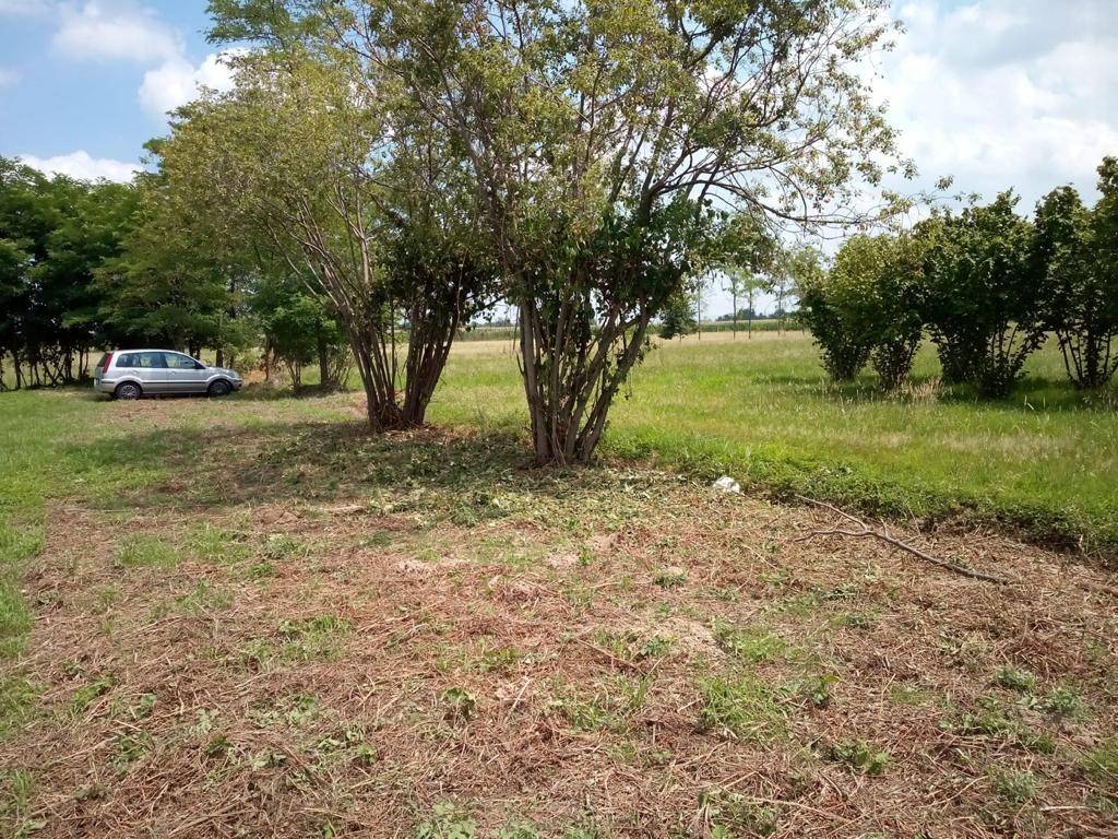 Terreno a Caluso in Via 24 Maggio - Foto 3