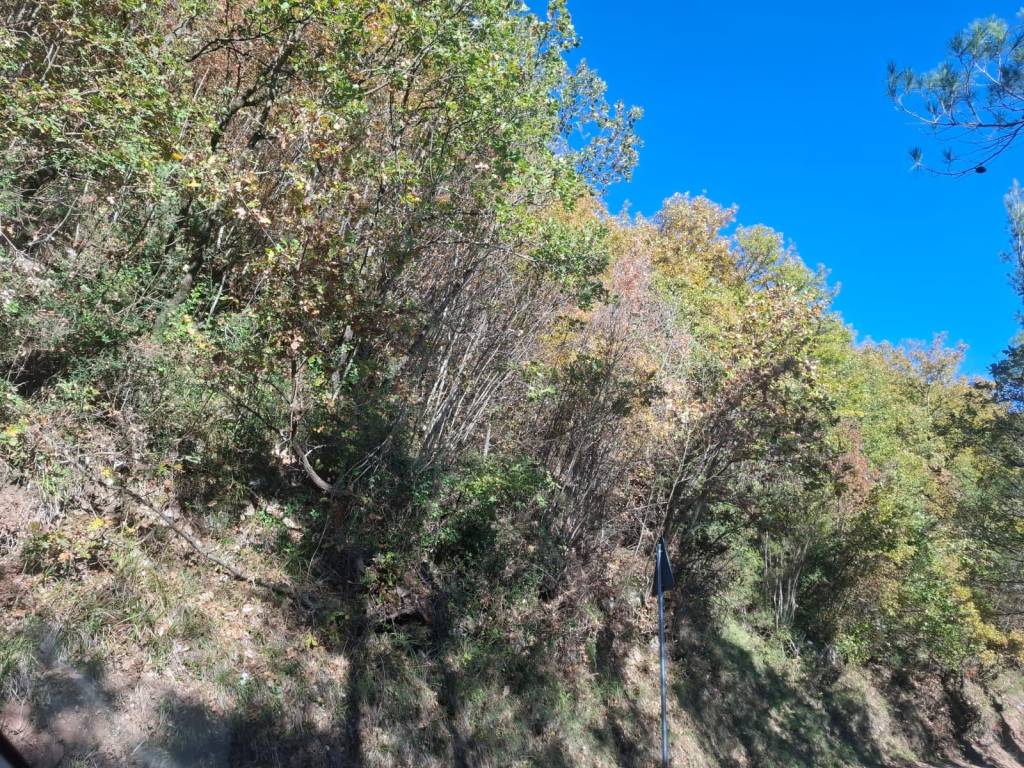 Terreno a Spoleto in Località Pincano - Foto 3