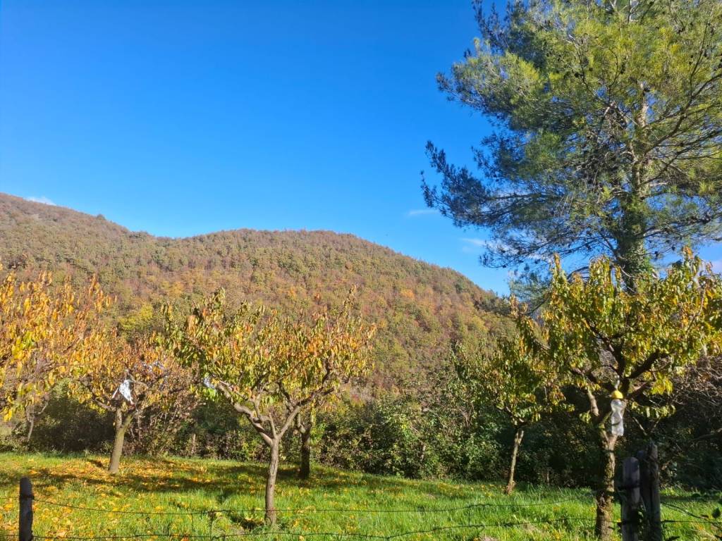 Terreno a Spoleto in Località Pincano - Foto 4