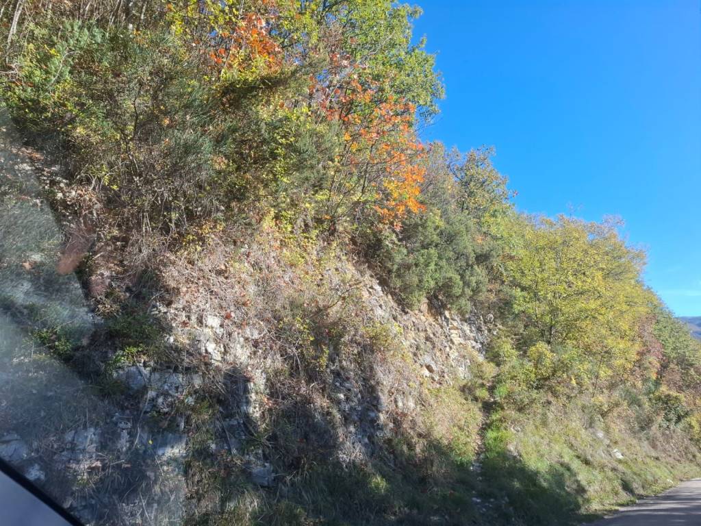 Terreno a Spoleto in Località Pincano - Foto 5