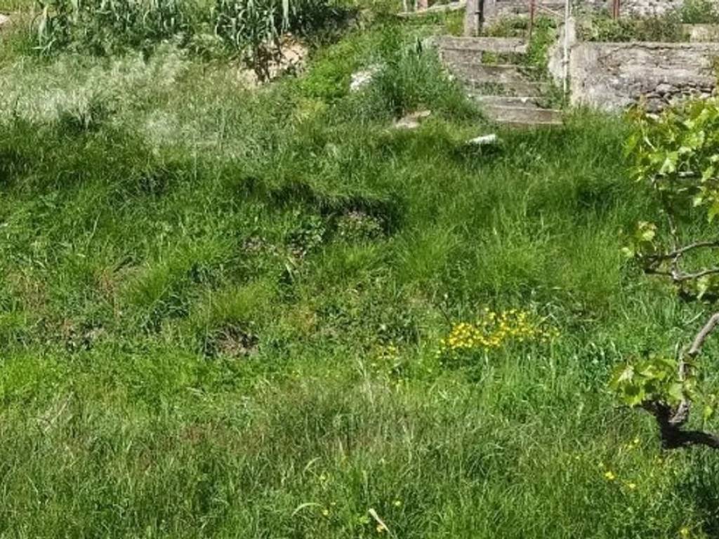 Villa a Pietrasanta - Foto 3