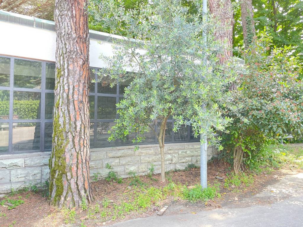 Immobile a Pianoro in Via dei Pini, 1 - Foto 4