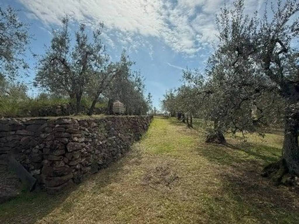 Terreno a Lucignano in Località Crocifisso, 9 - Foto 2
