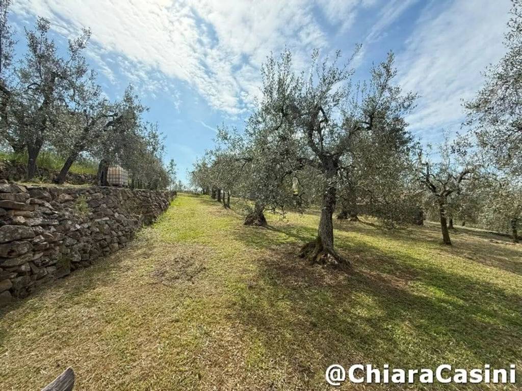 Terreno a Lucignano in Località Crocifisso, 9 - Foto 3