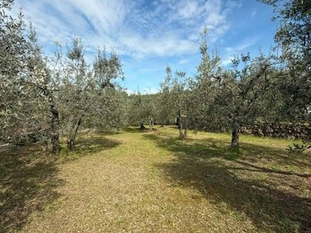 Terreno a Lucignano in Località Crocifisso, 9 - Foto 4