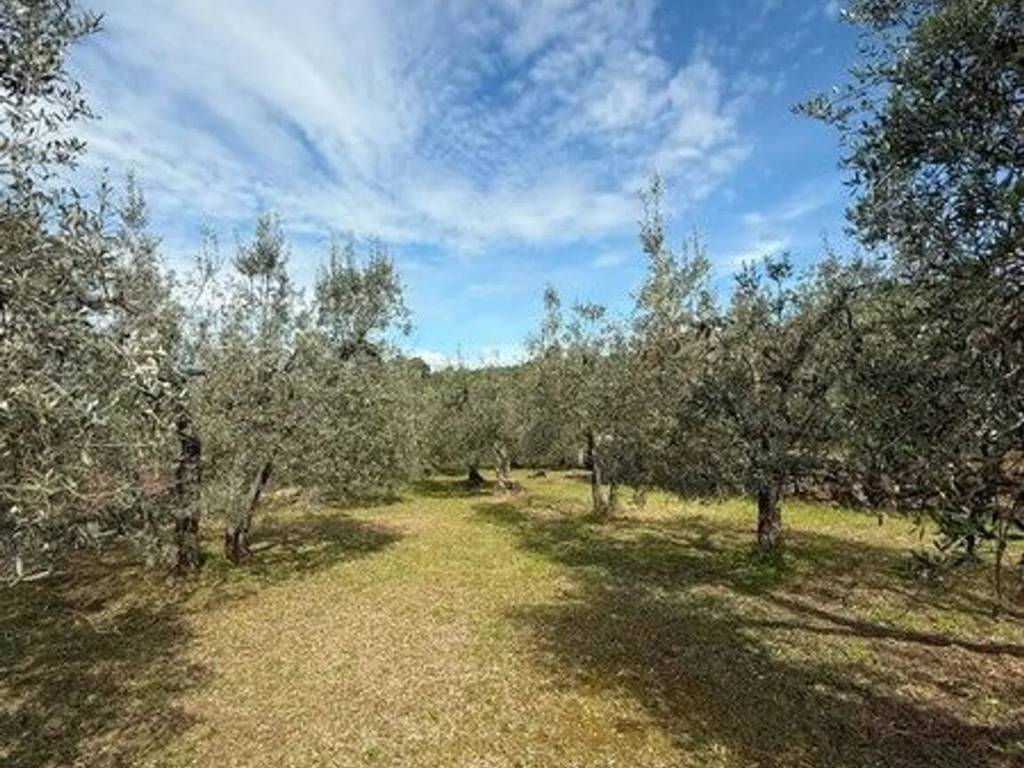 Terreno a Lucignano in Località Crocifisso, 9 - Foto 5