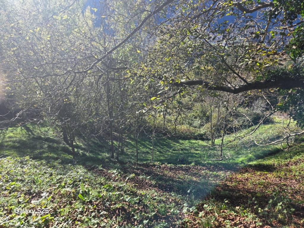 Rustico / casale a San giovanni bianco - Foto 4