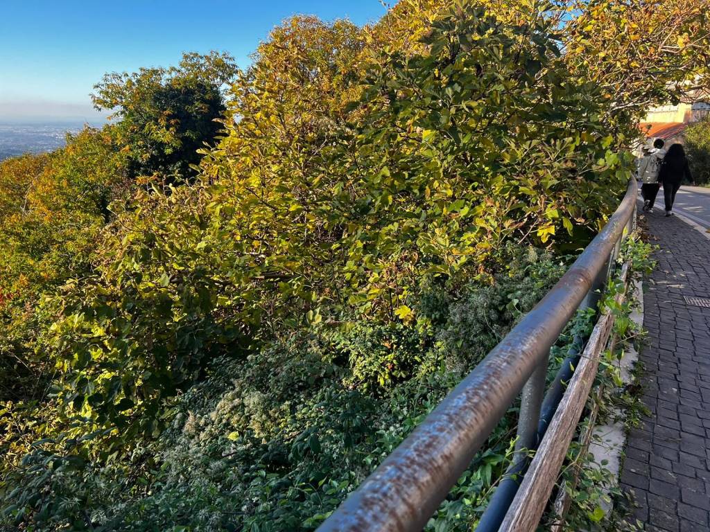 Terreno a Rocca di papa in Via Roma - Foto 3