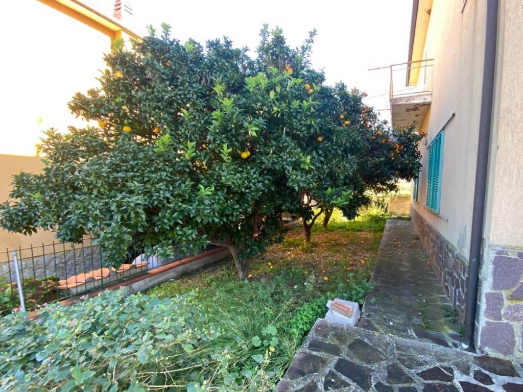 Villa a Marciana marina - Foto 4