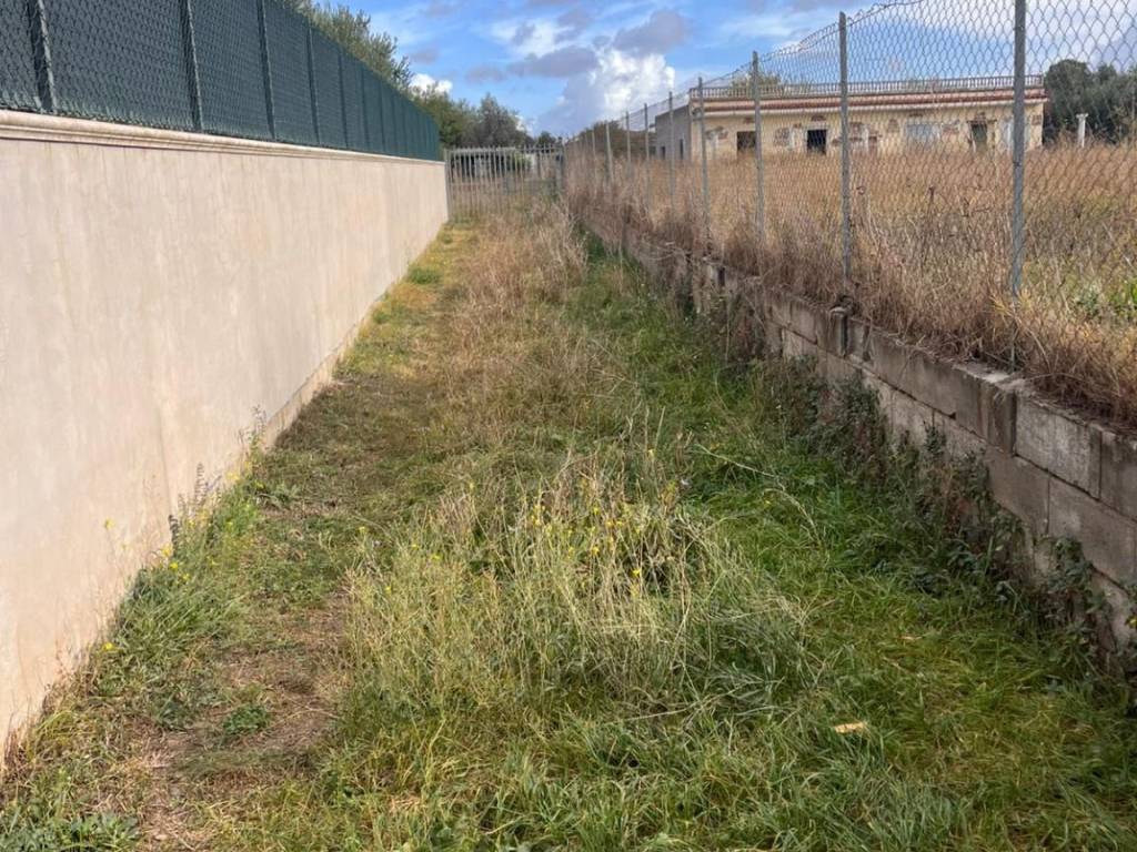 Terreno a Frascati in Via Catacombe San Zotico, 40 - Foto 4