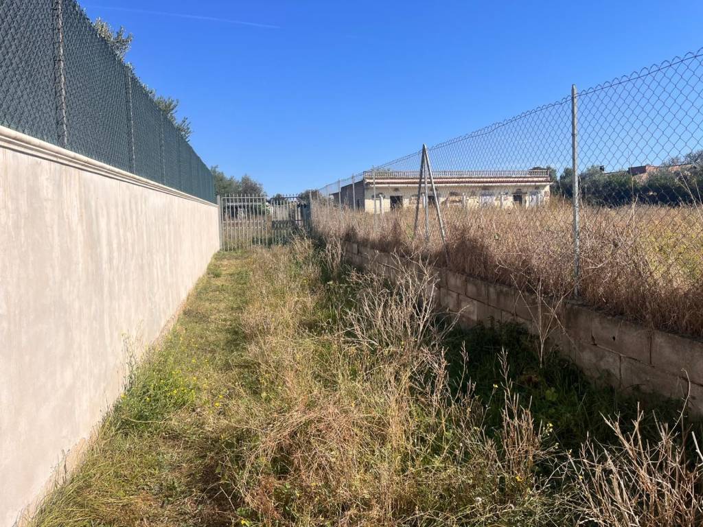 Terreno a Frascati in Via Catacombe San Zotico, 40 - Foto 5