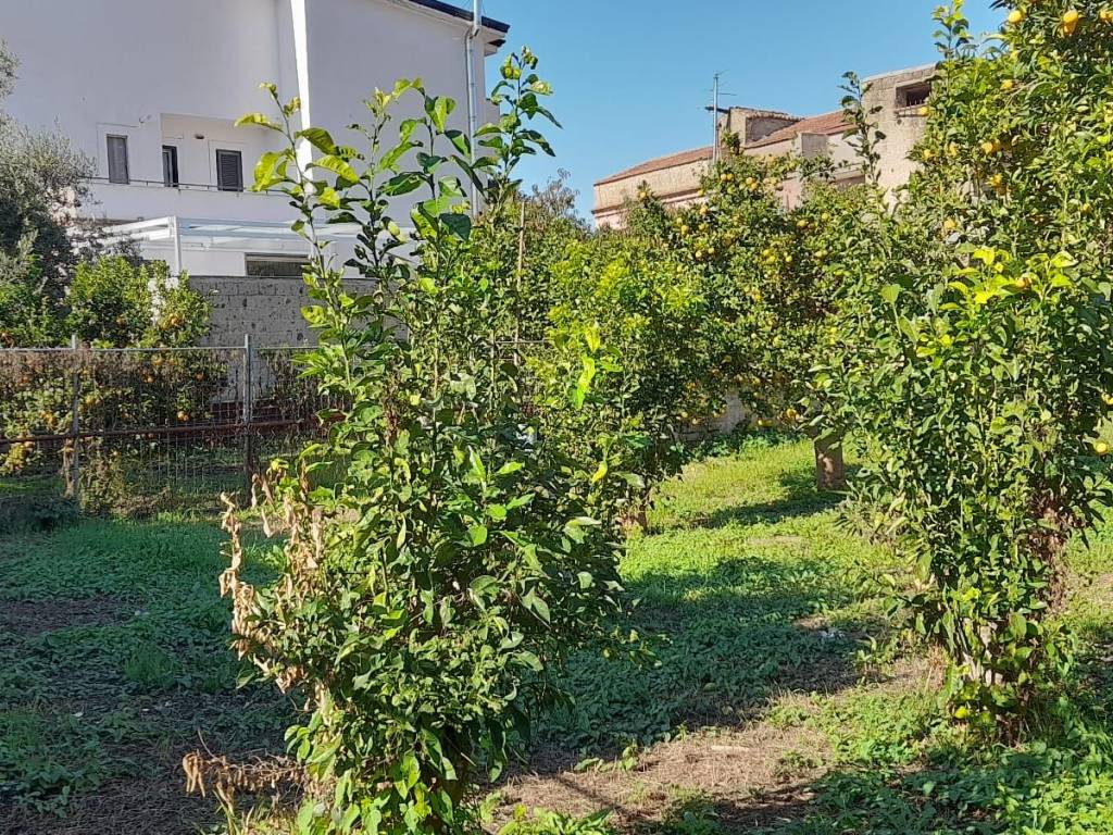 Terreno a Maddaloni in Via Baldina, 58 - Foto 4