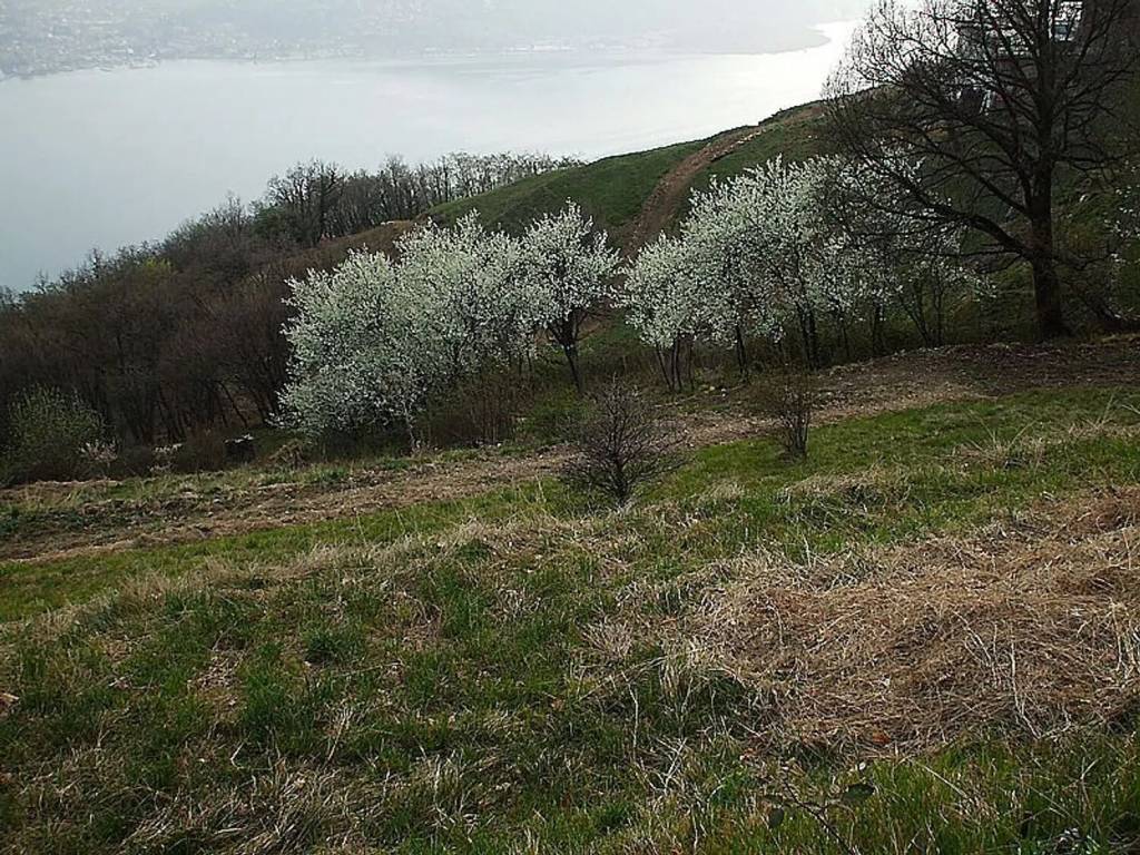Rustico / casale a Predore in Via Vasti Di Sopra No Number - Foto 4