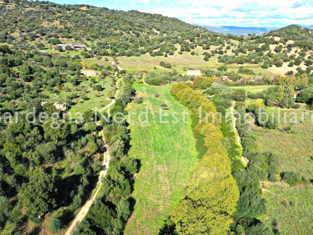 Terreno a Loiri porto san paolo in SP66 - Foto 4