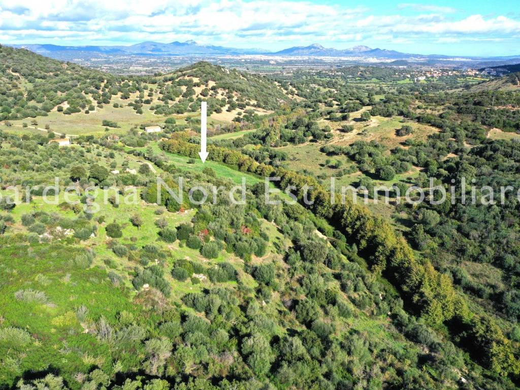 Terreno a Loiri porto san paolo in SP66 - Foto 5