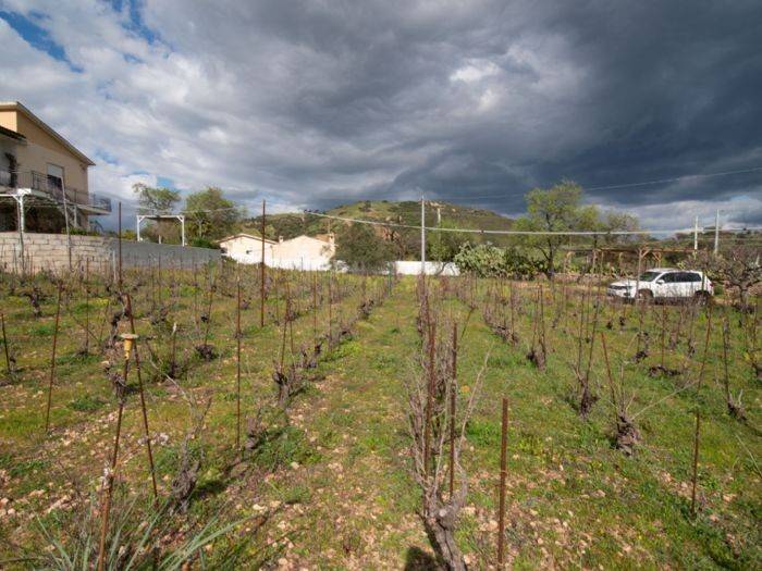 Terreno a Loiri porto san paolo in Viale Santu Micali - Foto 5