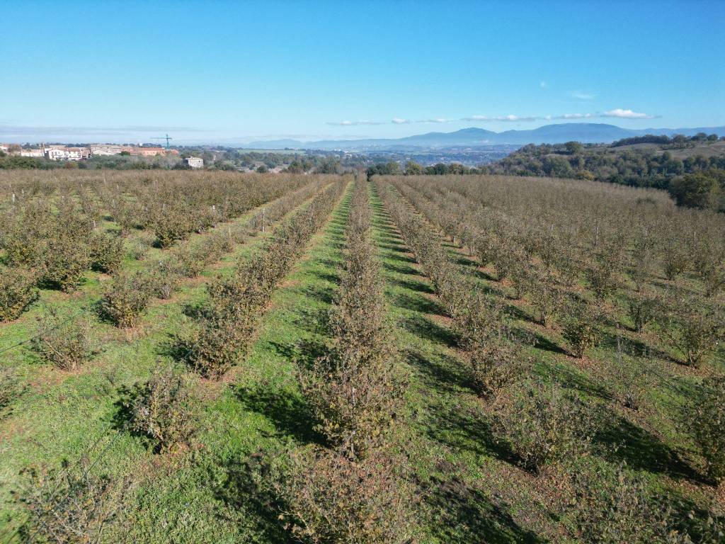 Terreno a Civita castellana in Via Castel Sant'Elia - Foto 2