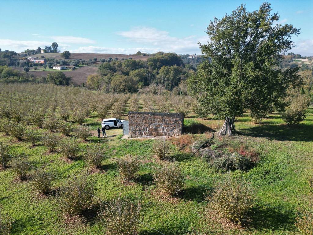 Terreno a Civita castellana in Via Castel Sant'Elia - Foto 3