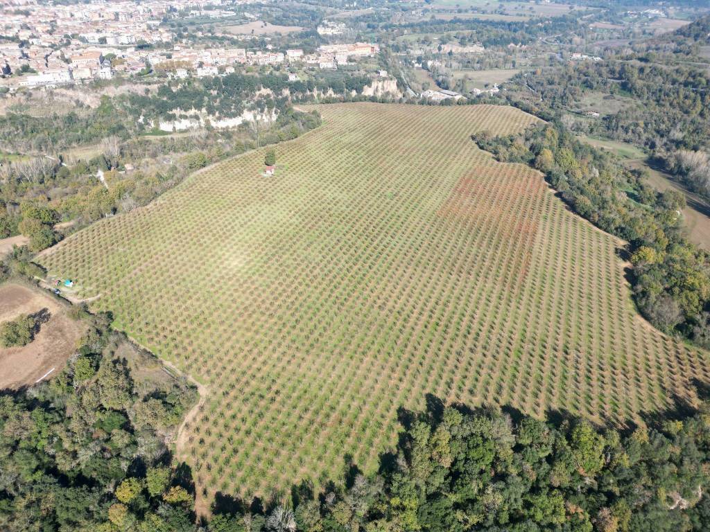 Terreno a Civita castellana in Via Castel Sant'Elia - Foto 4