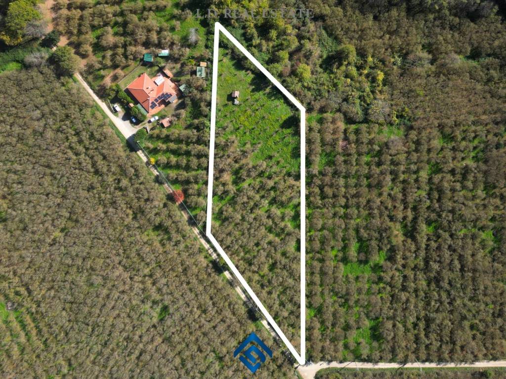 Terreno a Capranica in Strada del Pozzo - Foto 3