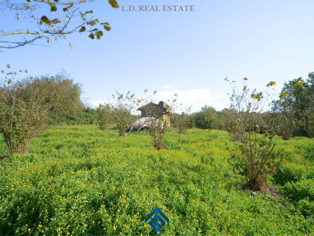 Terreno a Capranica in Strada del Pozzo - Foto 5