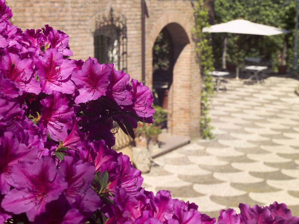 Villa a Grottaferrata in via Anagnina, 10 - Foto 5