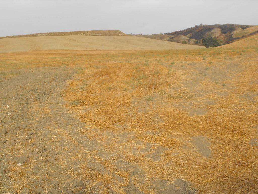 Terreno a Matera in Contrada Due Gravine - Foto 2
