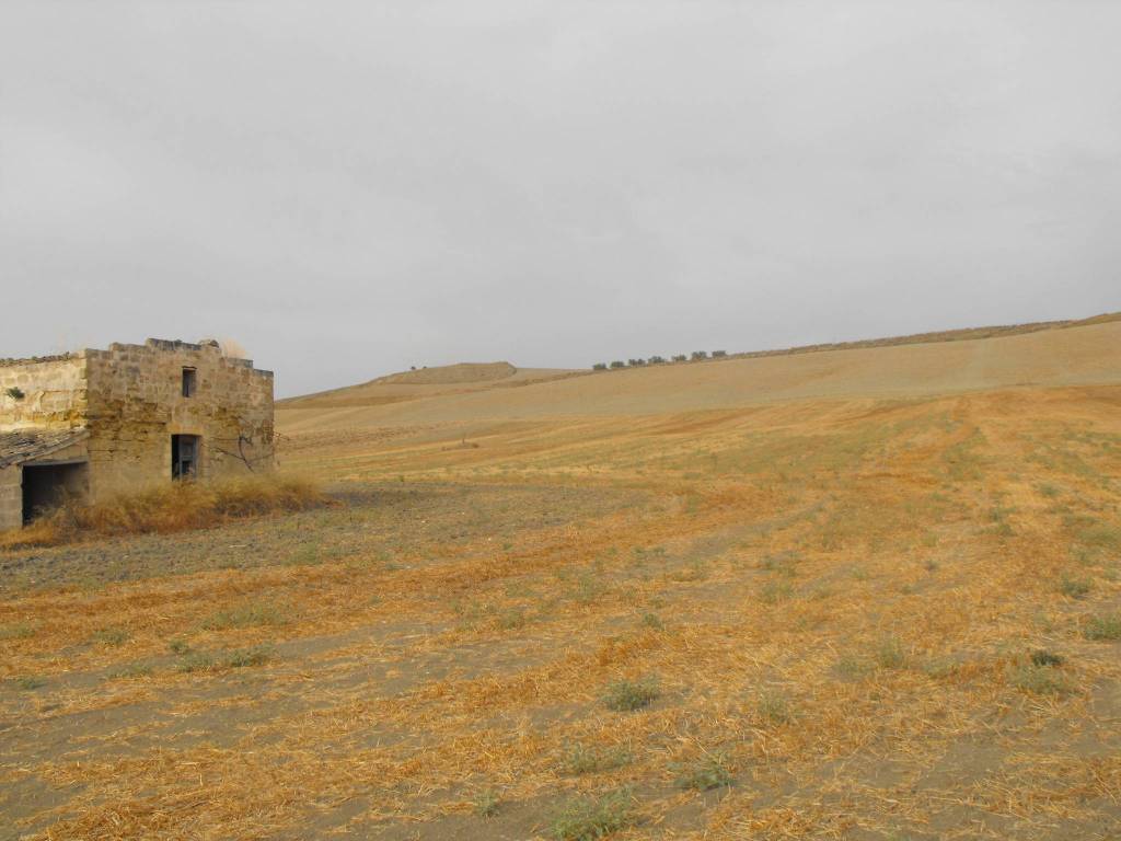 Terreno a Matera in Contrada Due Gravine - Foto 4