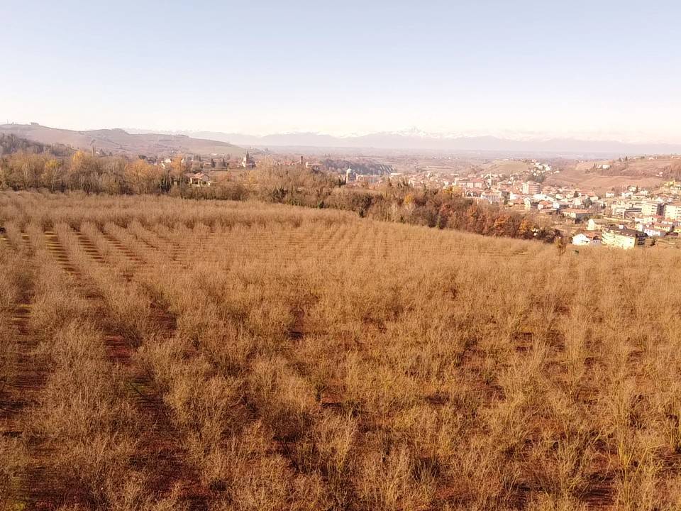 Terreno a Dogliani in Borgata San Giorgio, 17 - Foto 2