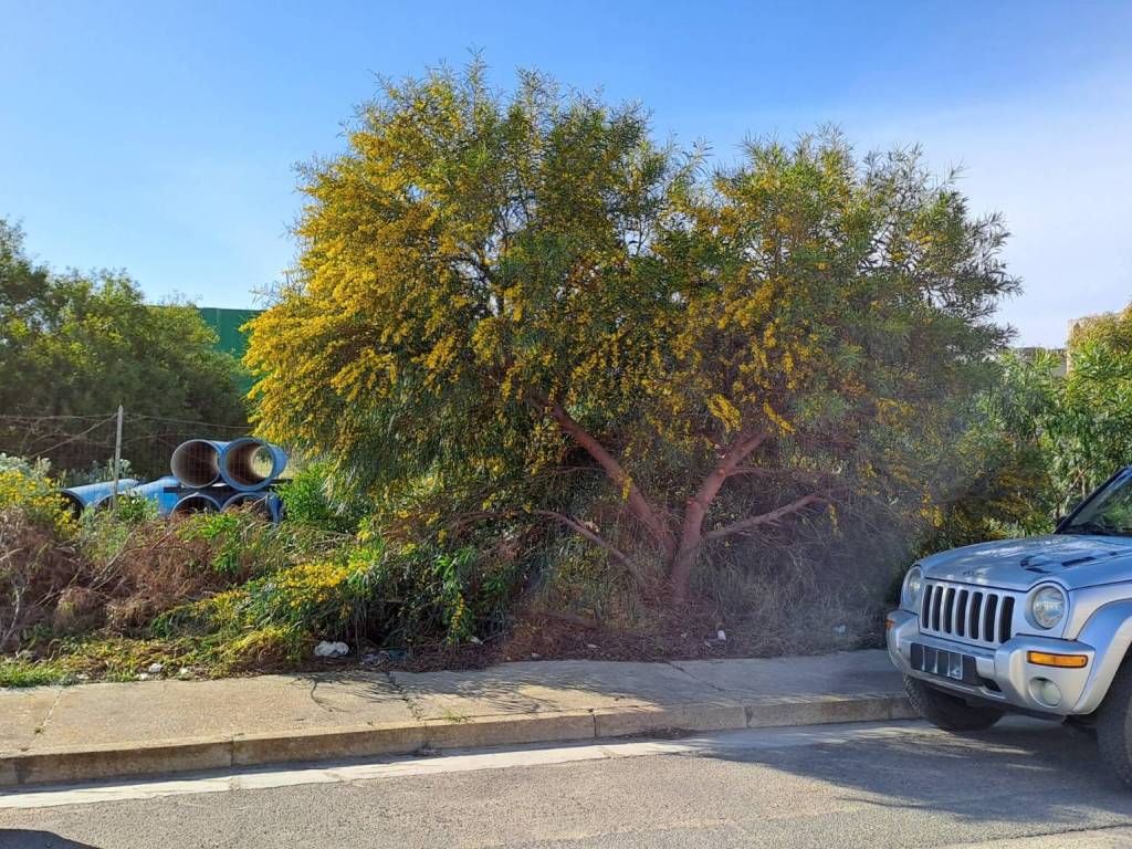 Terreno a Selargius - Foto 2