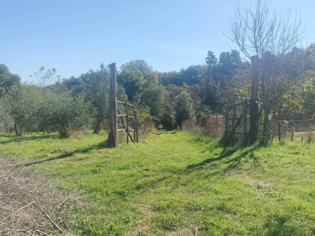 Terreno a Sorano - Foto 2