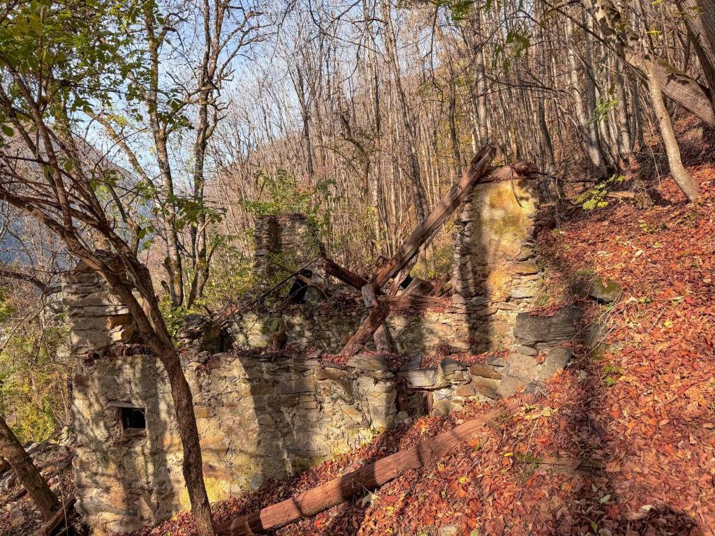 Rustico / casale a Rabbi in Frazione Pracorno - Foto 2
