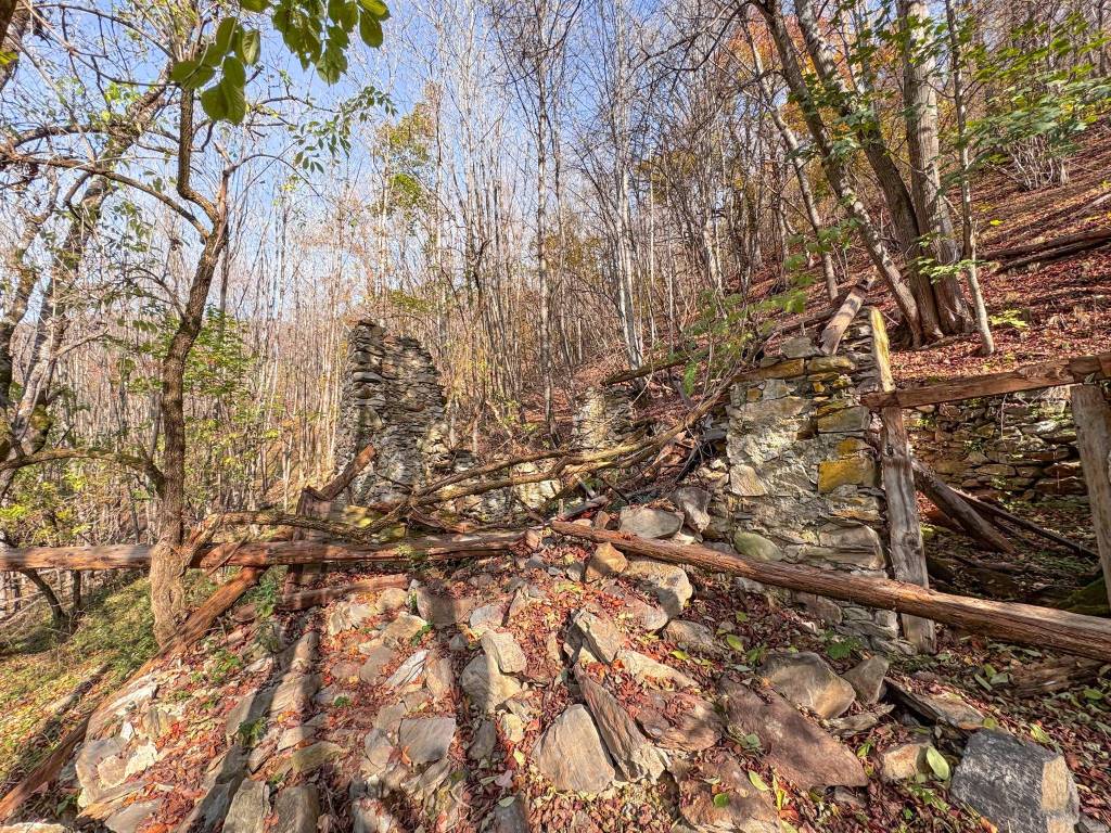 Rustico / casale a Rabbi in Frazione Pracorno - Foto 3