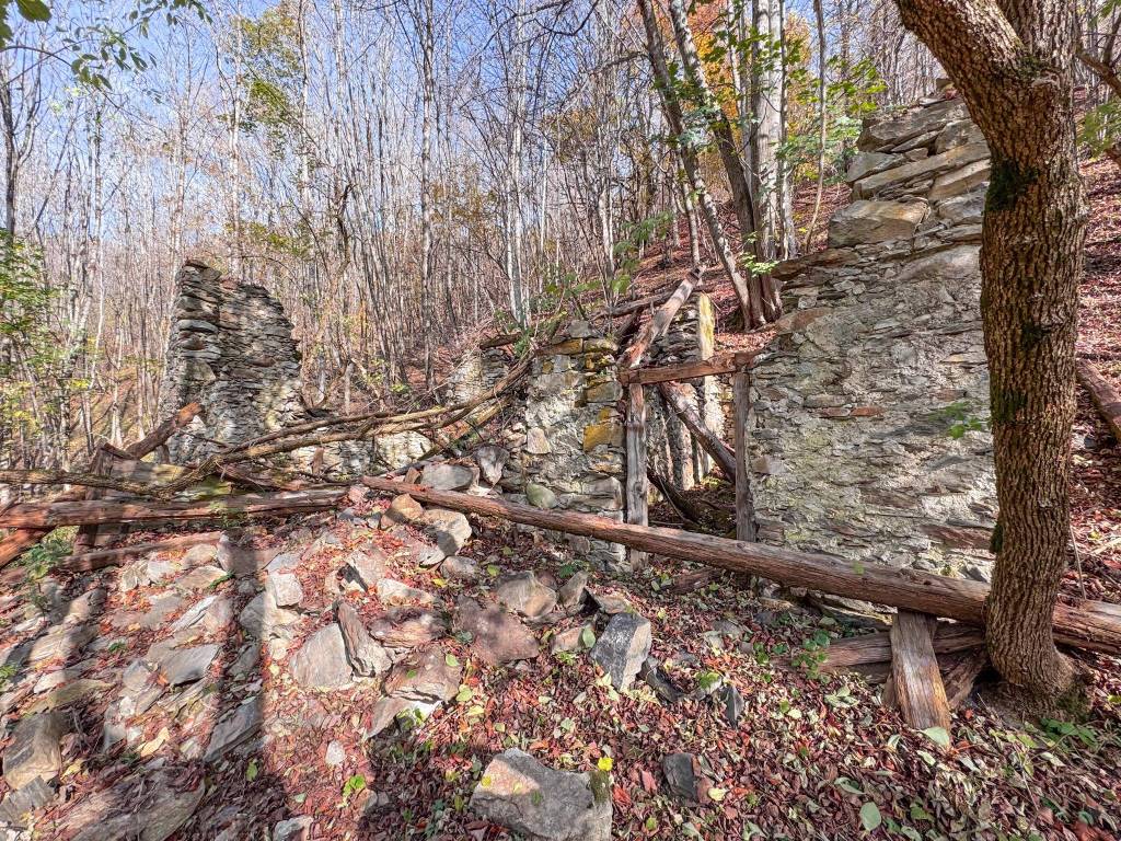 Rustico / casale a Rabbi in Frazione Pracorno - Foto 4