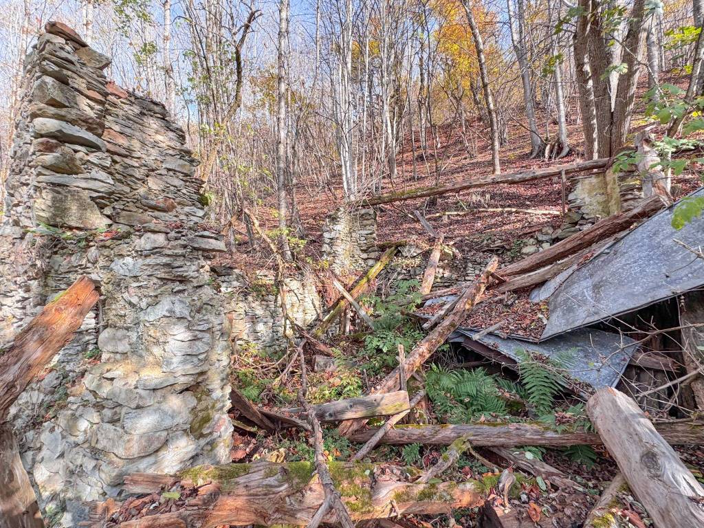 Rustico / casale a Rabbi in Frazione Pracorno - Foto 5