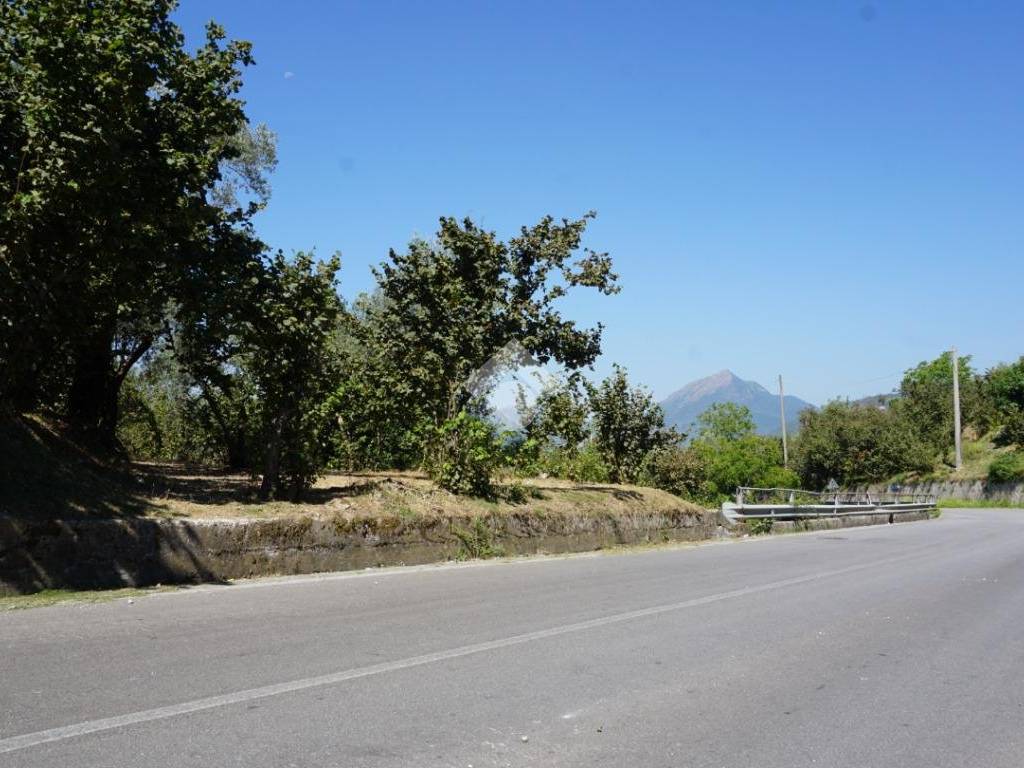 Terreno a Montecorvino rovella in Via SP26d - Foto 3