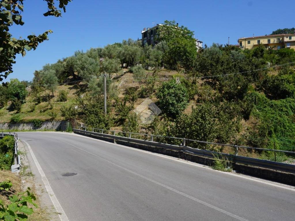 Terreno a Montecorvino rovella in Via SP26d - Foto 4