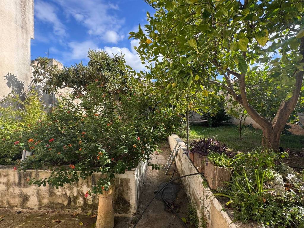 Casa indipendente a Presicce-acquarica - Foto 2
