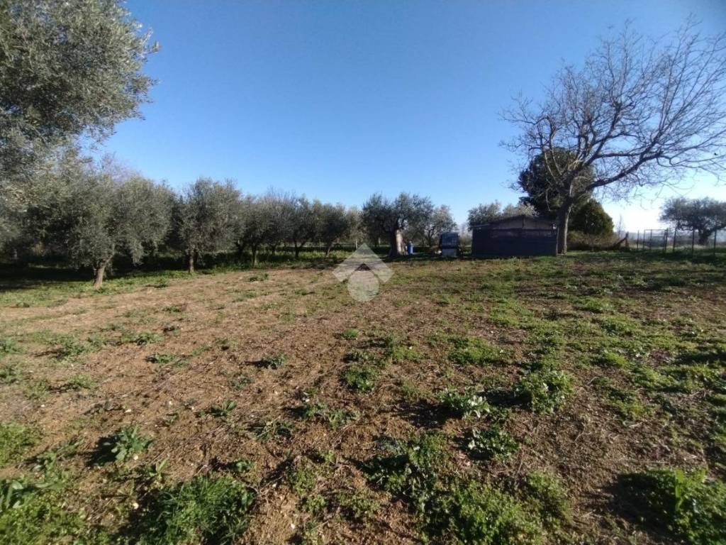 Terreno a Cepagatti in via Aurora, 67 - Foto 2