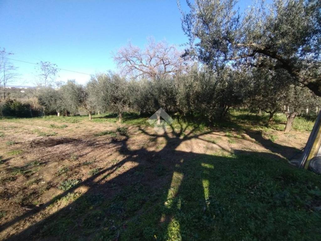 Terreno a Cepagatti in via Aurora, 67 - Foto 3